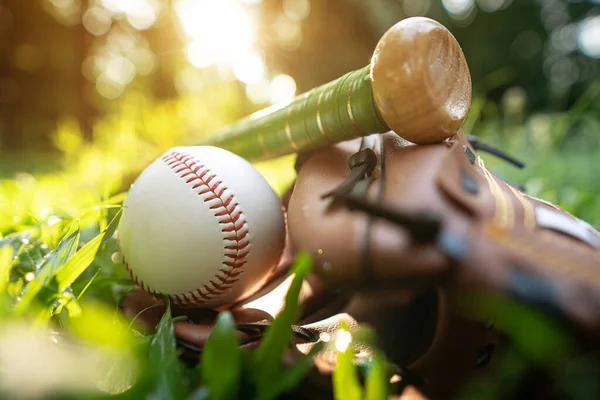 Beyzbol topları, beyzbol eldivenleri, batan güneşin sıcacık ışığıyla çimlerde dinlenen beyzbol sopaları.