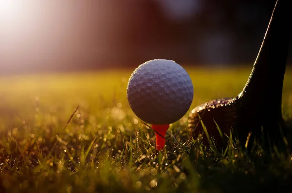 Golf Sopası Golf Topu Yaklaşın — Stok fotoğraf