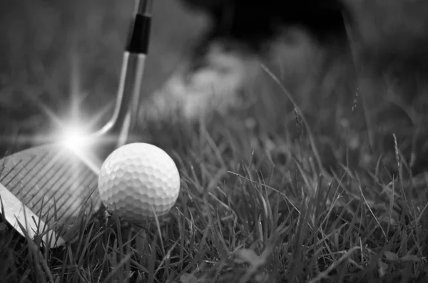 Golf Club Golf Ball Close — Stock Photo, Image