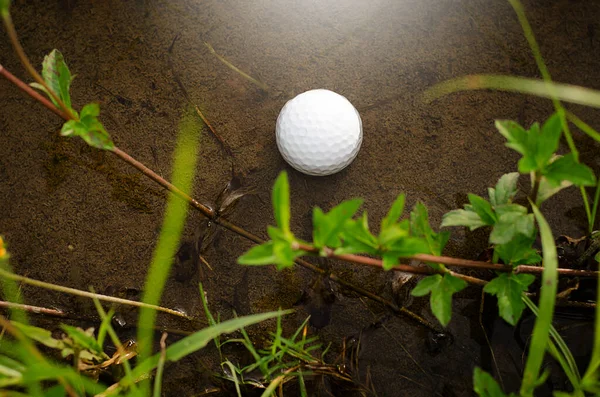 Problémák Akadályok Golfozó Golf Labda Található Tóban — Stock Fotó