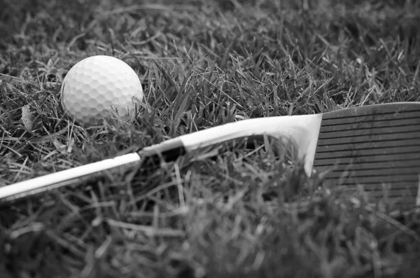 Golfe Clube Bola Golfe Close — Fotografia de Stock