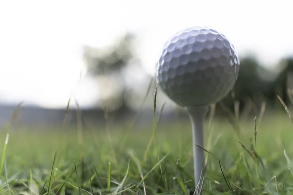 Bola Golfe Clube Golfe Com Luz Quente Noite — Fotografia de Stock