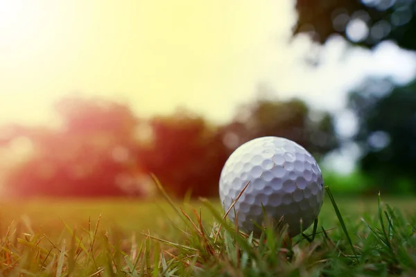 Balle Golf Blanche Gros Plan — Photo