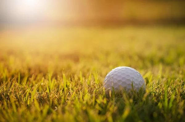 Golfbollen Och Golfklubben Med Kvällens Varma Sken — Stockfoto