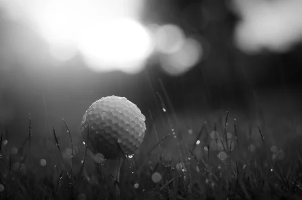 Balle Golf Blanche Mouillée Gros Plan — Photo