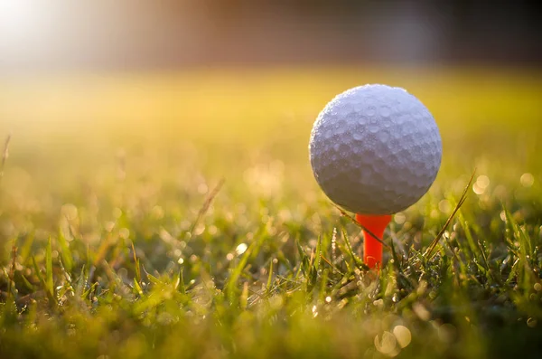 Fehér Golf Labda Közelről — Stock Fotó