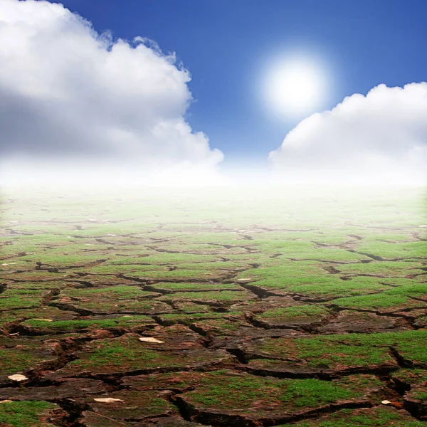 Green grass in the cracks in the dried soil in arid season Stock Photo