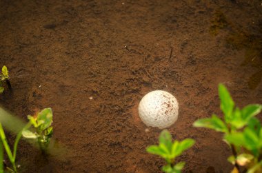 Golfçünün sorunları ve engelleri, golf topu gölette.