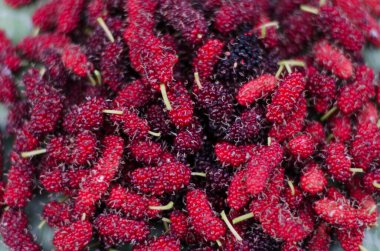 Dut kırmızısı iştah açıcı..