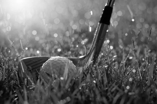 Golf sopası ve golf topu, yaklaşın.