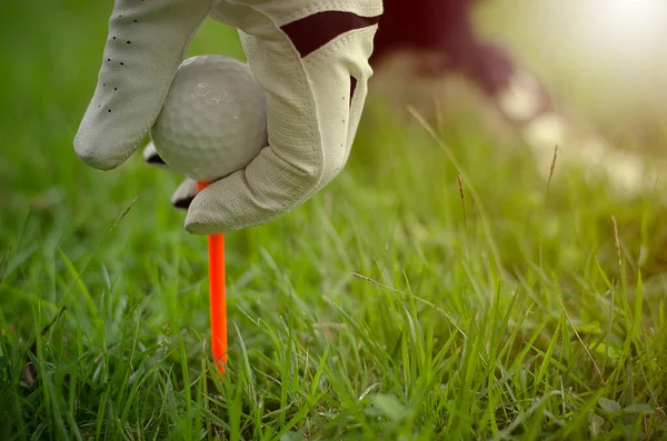 Golf Golfers Hand Met Bal Sport — Stockfoto