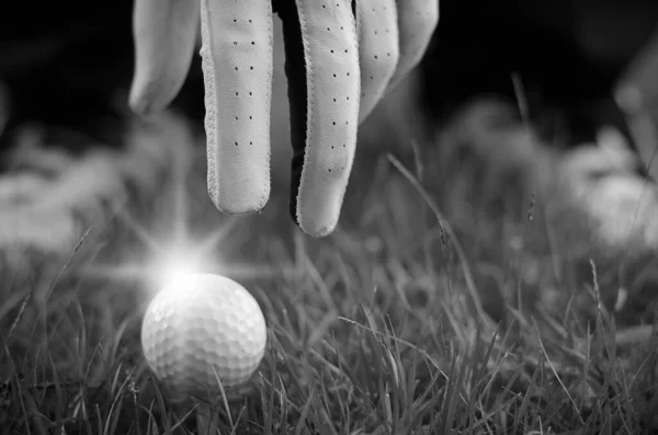 Golfe Mão Golfista Com Bola Desporto — Fotografia de Stock