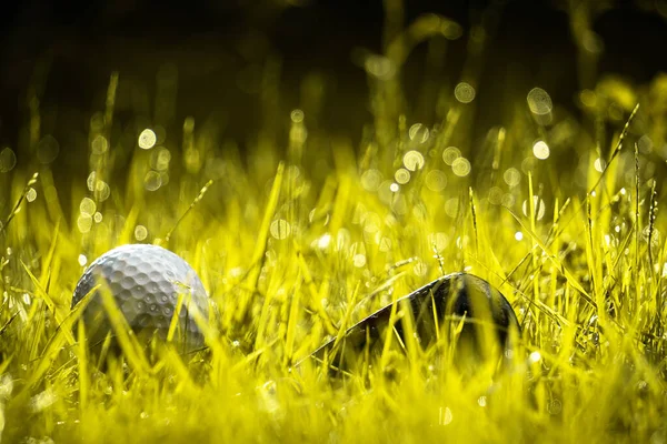 Golf Club Pallina Golf Vicino — Foto Stock