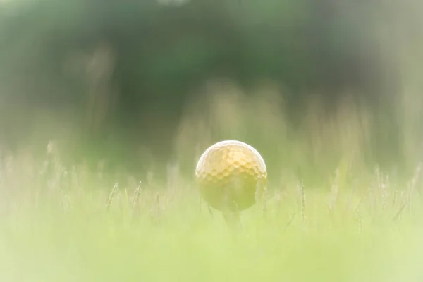 Bola Golfe Ouro Pino Com Uma Luz Brilhante Vitória Final — Fotografia de Stock