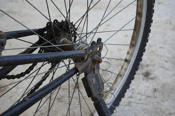 자전거 바퀴의 — 스톡 사진