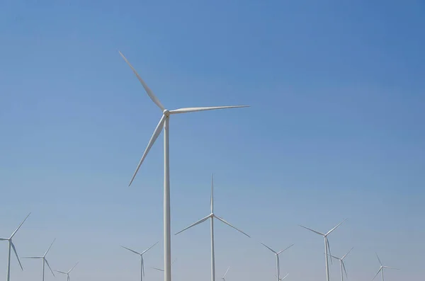 Wind turbines farm, technology