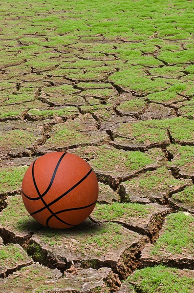 Kosárlabda Pálya Földön — Stock Fotó