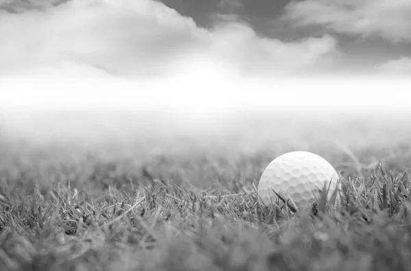 Golfclub Golfbal Close — Stockfoto