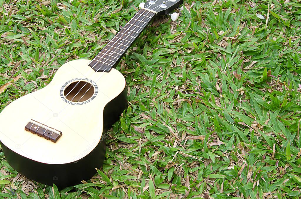acoustic guitar on the grass.