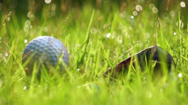 Närbild Bilder Golfboll Och Putter Grönt Gräs Med Vattendroppar — Stockvideo