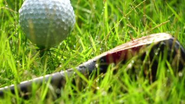 Yakından çekilmiş golf topu ve golf sopası görüntüleri. Su damlalarıyla yeşil çimlerin üzerinde. 