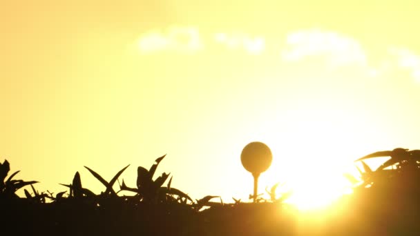 Atleta Golfe Silhueta Pôr Sol Bonito — Vídeo de Stock