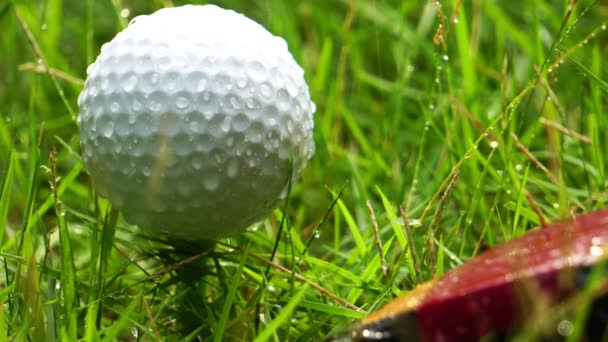 Närbild Bilder Golfboll Och Putter Grönt Gräs Med Vattendroppar — Stockvideo