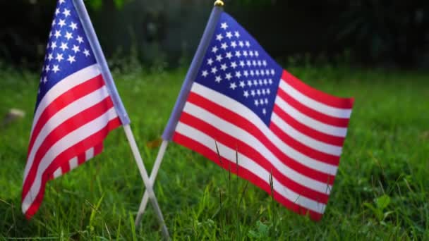 Footage American Flags Green Grass — Stock Video