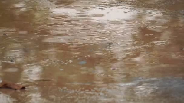Aufnahmen Einer Pfütze Und Regentropfen Die Hineinfallen — Stockvideo