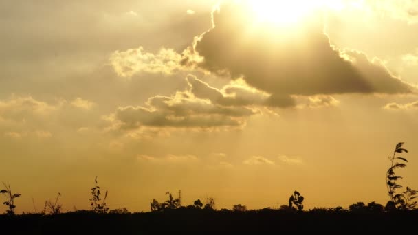 美丽落日下的轮廓高尔夫运动员 — 图库视频影像