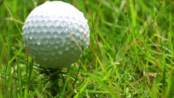 Close Beelden Van Golfbal Groen Gras Met Waterdruppels — Stockvideo