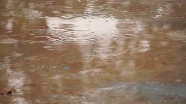 Su birikintisine düşen yağmur damlaları