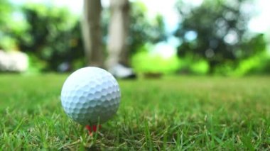 Golfçüler sahada golf oynuyorlar.