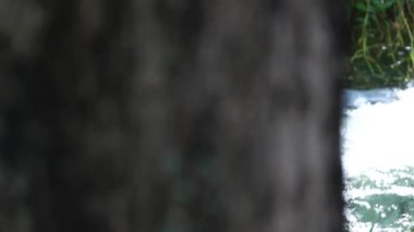 Küçük bir şelalenin görüntüleri