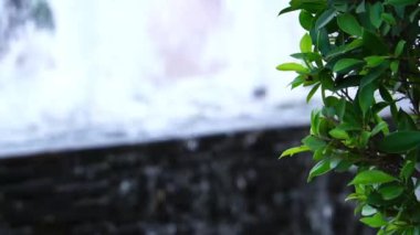 Şelale ve doğa görüntülerinin güzelliği.