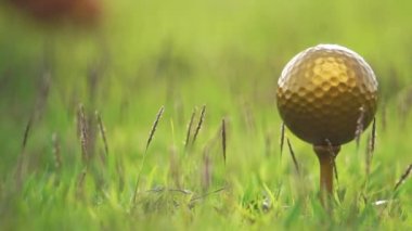 Çayır üzerinde golf oynayan adam