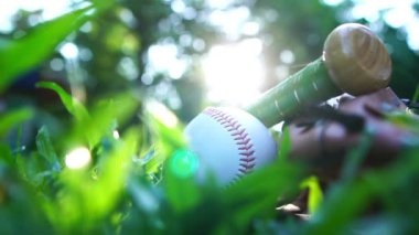 Baseballs, baseball gloves resting on the lawn with the warm light of the setting sun