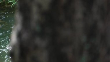 Küçük bir şelalenin görüntüleri