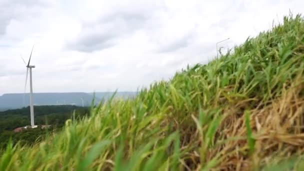 Tecnologia Paisagem Turbina Eólica Com Natureza Prado — Vídeo de Stock