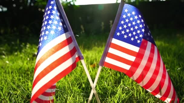 Two Usa Flags Waving Placed Green Grass — Stock Video