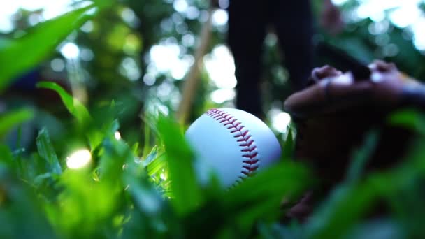 Baseballs Baseball Gloves Resting Lawn Warm Light Setting Sun — Stockvideo