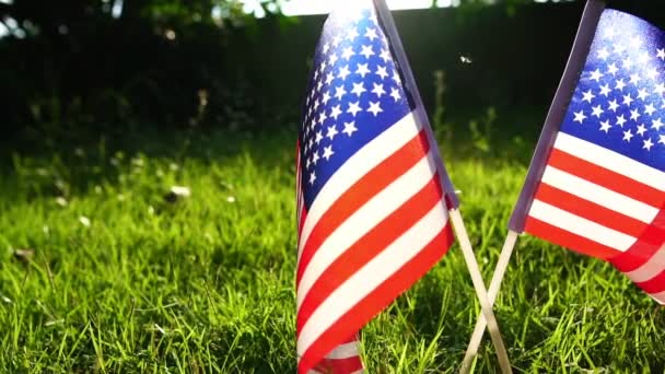 Dos Banderas Estadounidenses Ondulando Colocadas Sobre Hierba Verde — Vídeo de stock