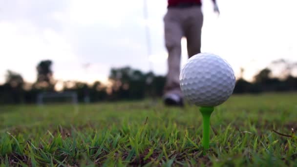 Hombre Jugando Golf Prado — Vídeo de stock