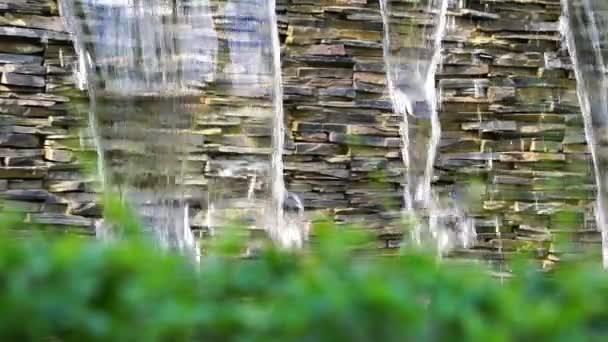 Водопад Красотой Природы — стоковое видео