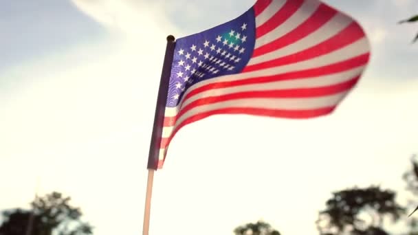 Garganta Bandera Estadounidense Colocada Hierba Verde — Vídeo de stock