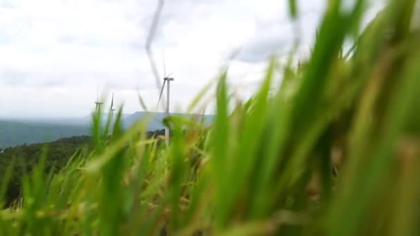 草地の性質を持つ風力タービンの景観技術 — ストック動画