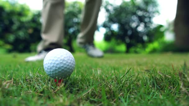 Golfers Ασκούν Χτύπημα Μπάλες Του Γκολφ Στο Γήπεδο — Αρχείο Βίντεο