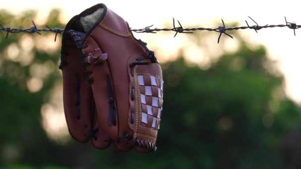 Przesuń Widok Rękawicy Baseballowej Płotem Praktyki Terenie — Wideo stockowe