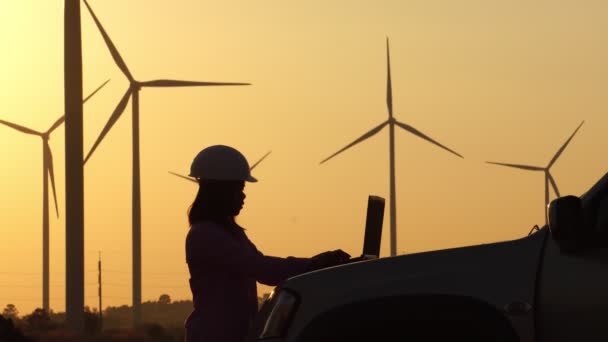 Männliche Ingenieure Sprechen Über Anlagentechnikerin Für Windkraftanlagen Frau Filmmaterial — Stockvideo