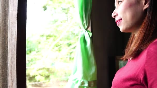 Jeune Femme Enceinte Debout Près Une Fenêtre — Video